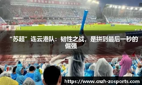 中欧体育官方网站